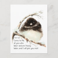 Cute Junco Bird, Scripture, Matt 11:28, Rest