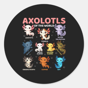 Cute Kawaii Axolotls Of The World Funny Axolotl Ty Classic Round Sticker