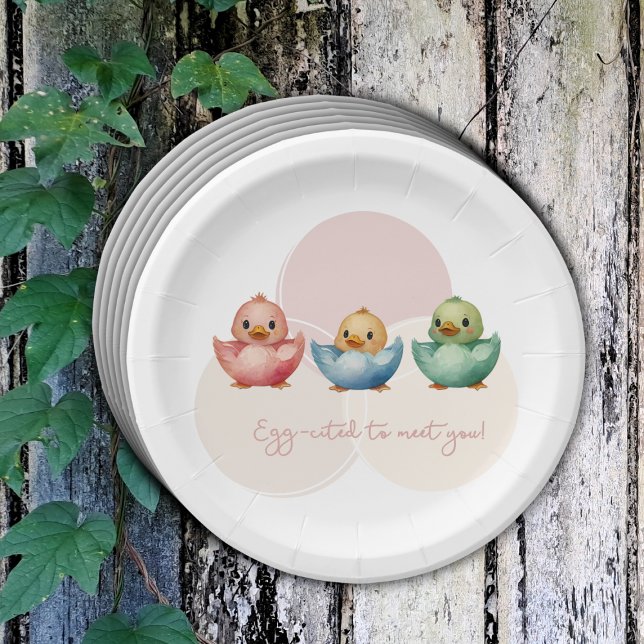 Cute Kawaii Egg Birds Pastel Coloured Baby Shower Paper Plate (Creator Uploaded)