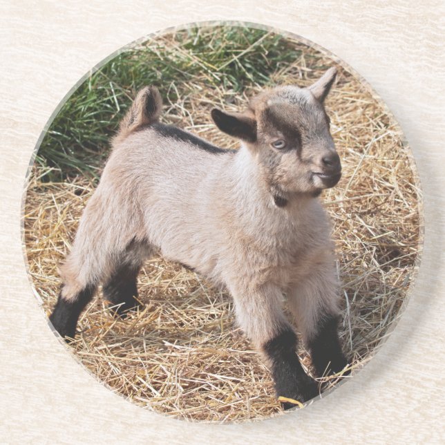 Cute Kid Coaster (Front)