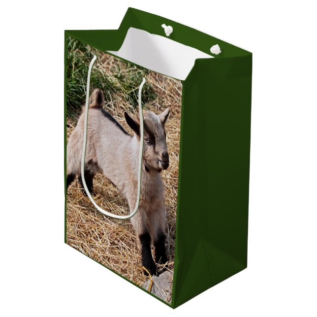 Cute Kid Gift Bag (Front Angled)