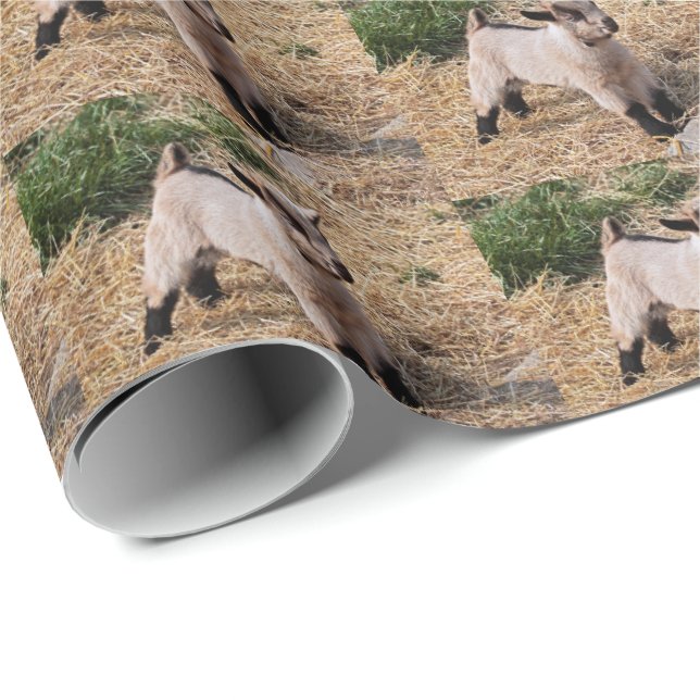 Cute Kid Wrapping Paper (Roll Corner)