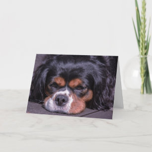 Cute King Charles Cavalier Dog Birthday Card