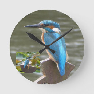 Cute Kingfisher Round Clock
