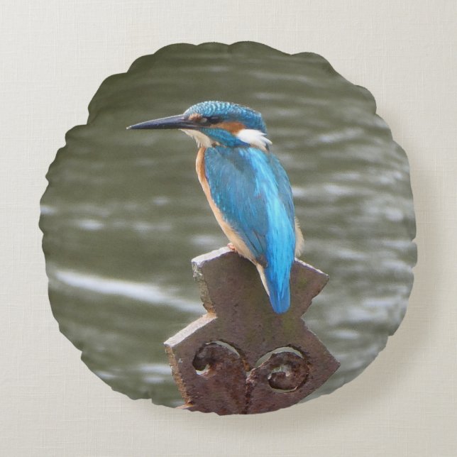 Cute Kingfisher Round Pillow (Front)