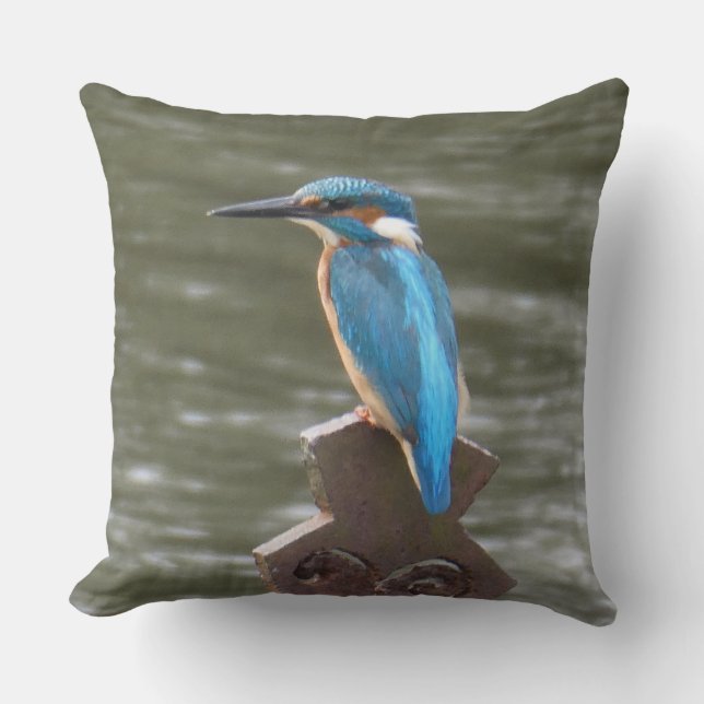 Cute Kingfisher Throw Pillow (Front)