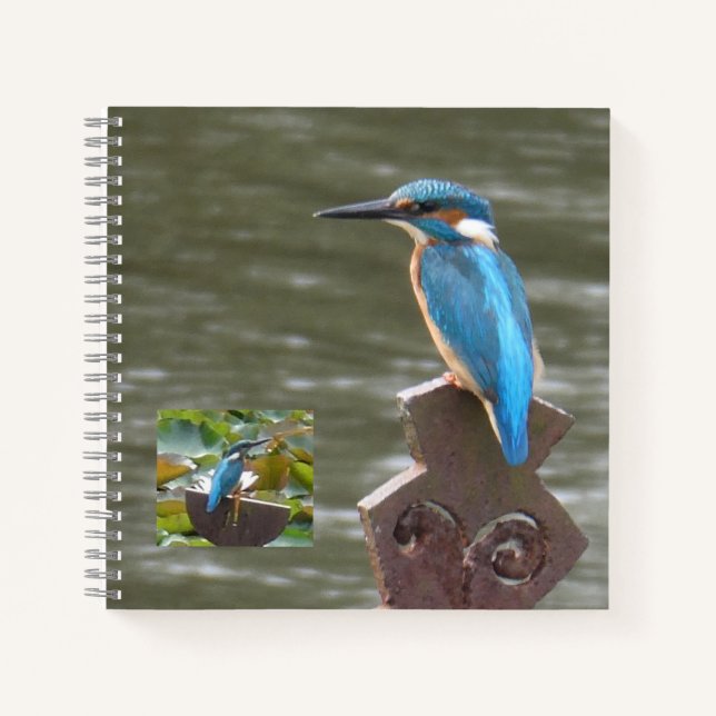 Cute Kingfishers (Birdwatchers) Notebook (Front)