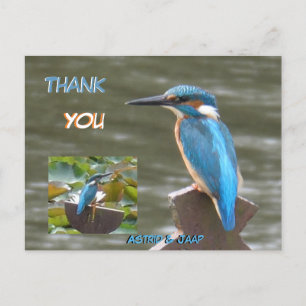 Cute Kingfishers Cust. Thank You Postcard