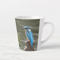 Cute Kingfishers Latte Mug