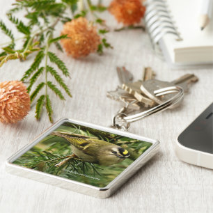 Cute Kinglet Songbird Causes Stir in the Fir Key Ring