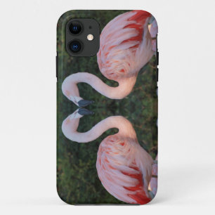 Cute Kissing Flamingo Photography Case-Mate iPhone Case