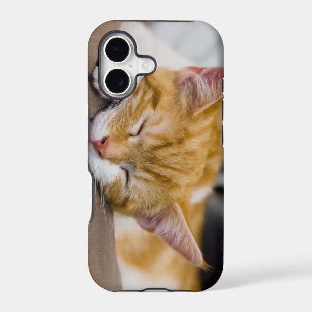 Cute Kitten (Back)