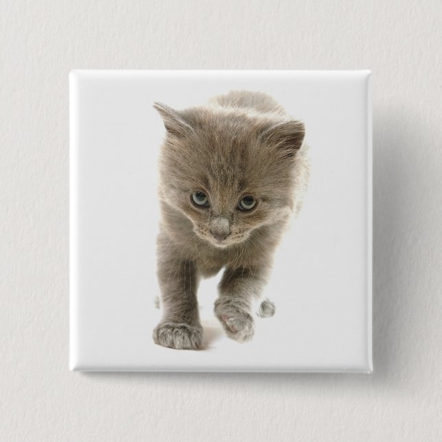 cute kitten 15 cm square badge (Front)