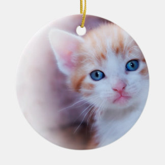 Cute Kitten 2 Photo Round Ceramic Tree Decoration