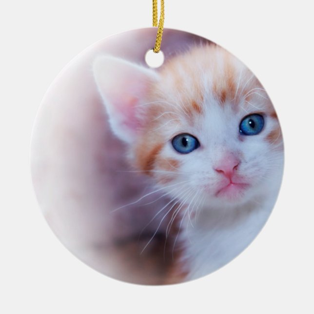Cute Kitten 2 Photo Round Ceramic Tree Decoration (Front)