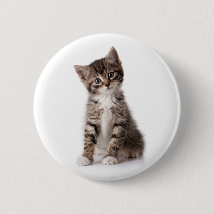 cute kitten 6 cm round badge
