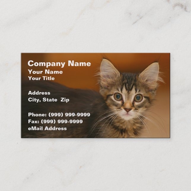 Cute Kitten Against a Brown Background Business Card (Front)