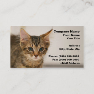 Cute Kitten Against an Off-White Background Business Card
