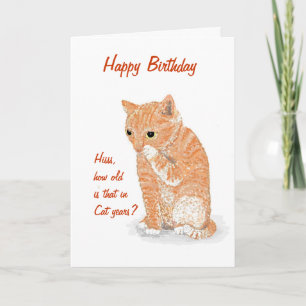 Cute Kitten Birthday card