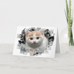 Cute Kitten Blank Greeting Card
