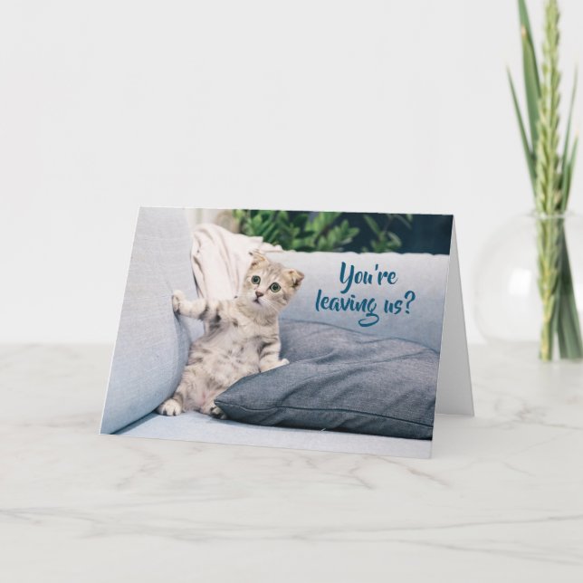 Cute Kitten Cat Farewell Card (Front)