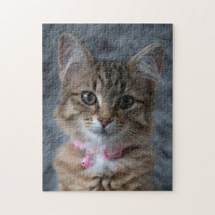 Cute kitten cat portrait, 252 pieces jigsaw puzzle