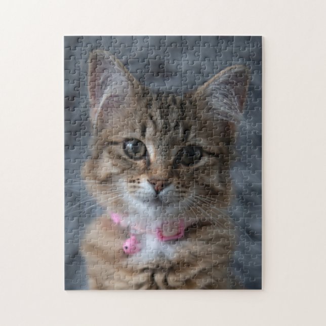 Cute kitten cat portrait, 252 pieces jigsaw puzzle (Vertical)