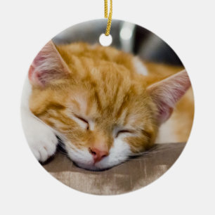 Cute Kitten Ceramic Tree Decoration