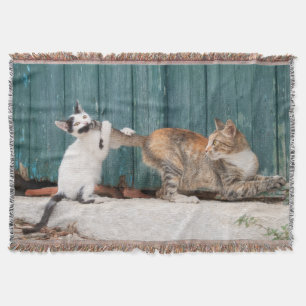 Cute Kitten Chasing Mum's Tail Funny Cat Photo - Throw Blanket
