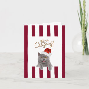 Cute Kitten Christmas Card