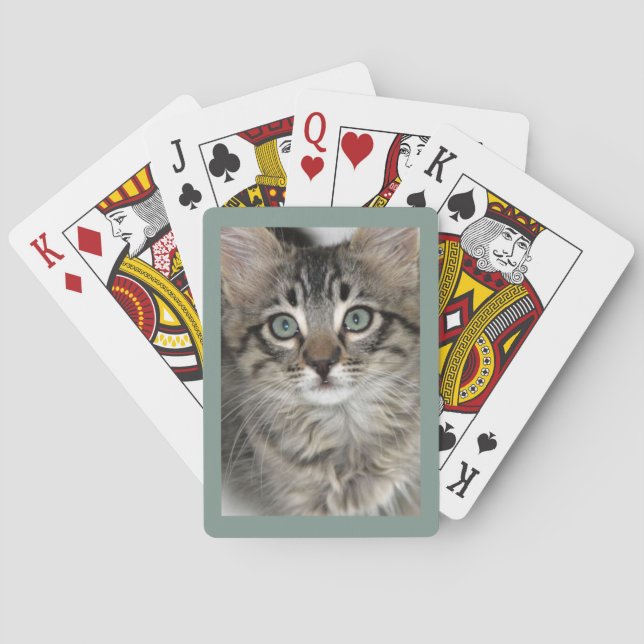 Cute Kitten Closeup Playing Cards (Back)