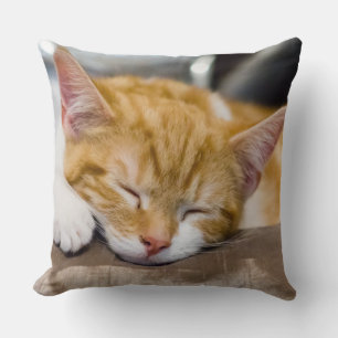 Cute Kitten Cushion