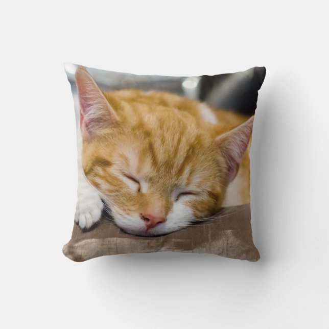 Cute Kitten Cushion (Front)
