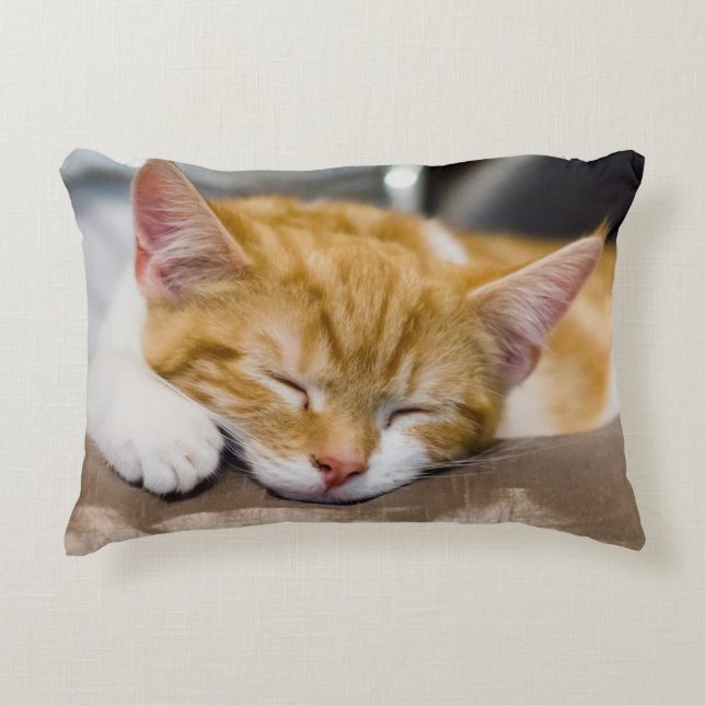 Cute Kitten Decorative Cushion (Front)
