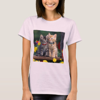 Cute-Kitten flower t shirt