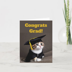 Cute Kitten Graduation Card