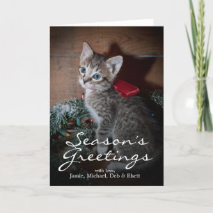 Cute Kitten Holiday Card