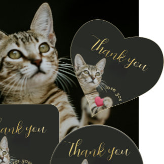 Cute Kitten I love you with Heart  Heart Sticker