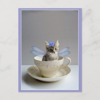 Cute kitten in tea cup postcard
