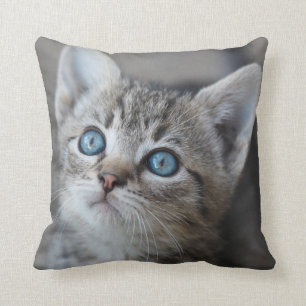 Cute Kitten In the Garden Cushion