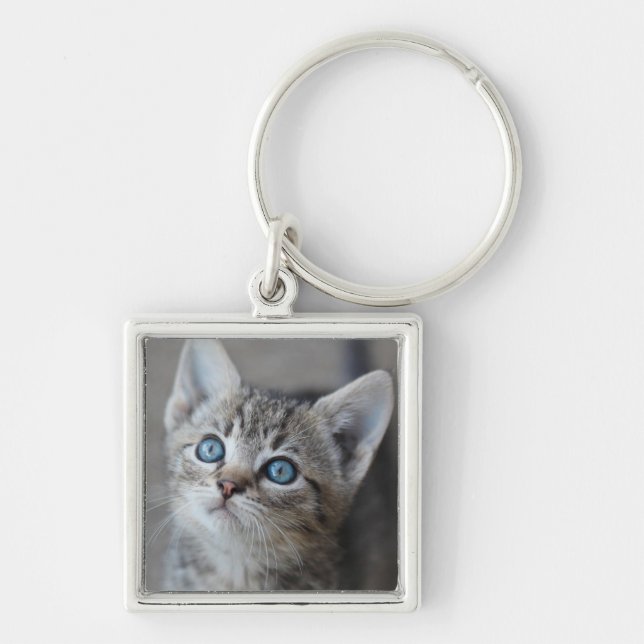 Cute Kitten In the Garden Key Ring (Front)
