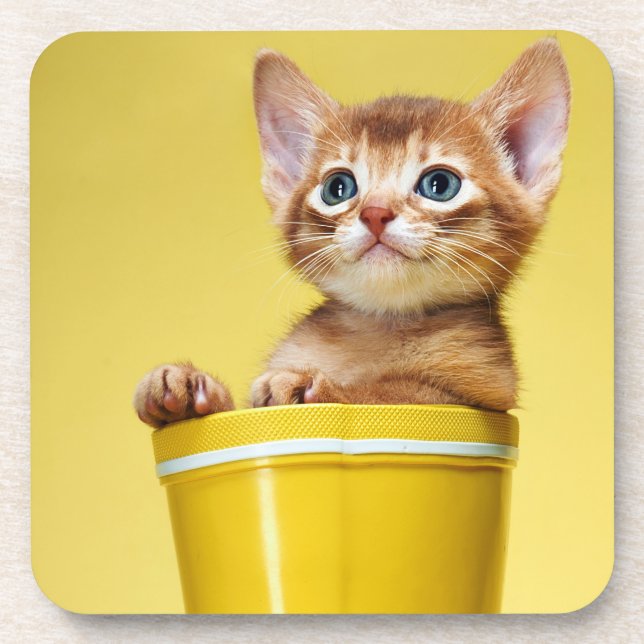Cute kitten in yellow bucket coaster (Front)
