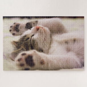 Cute Kitten Jigsaw Puzzle