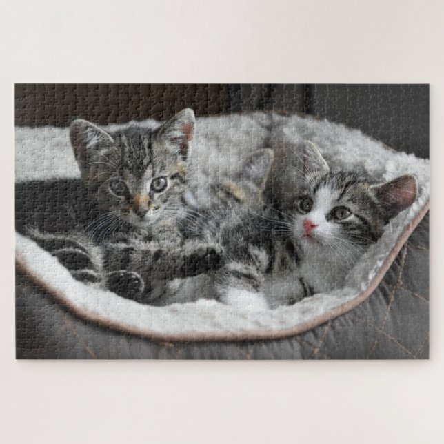 Cute Kitten Jigsaw Puzzle (Horizontal)