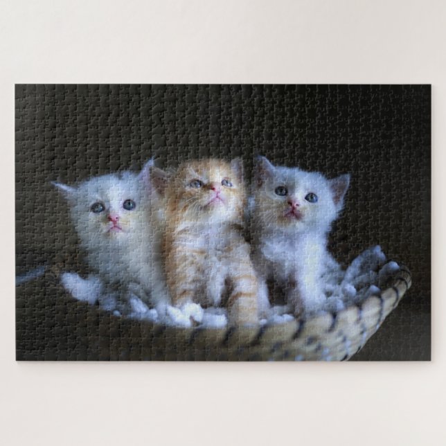 Cute Kitten Jigsaw Puzzle (Horizontal)