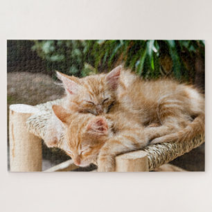 Cute Kitten Jigsaw Puzzle