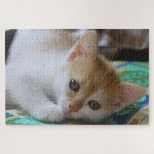 Cute Kitten Jigsaw Puzzle
