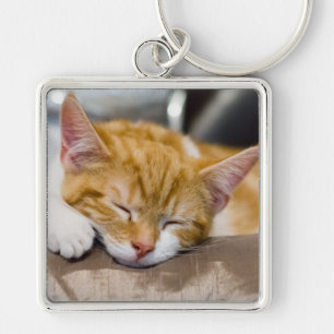 Cute Kitten Key Ring