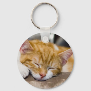 Cute Kitten Key Ring