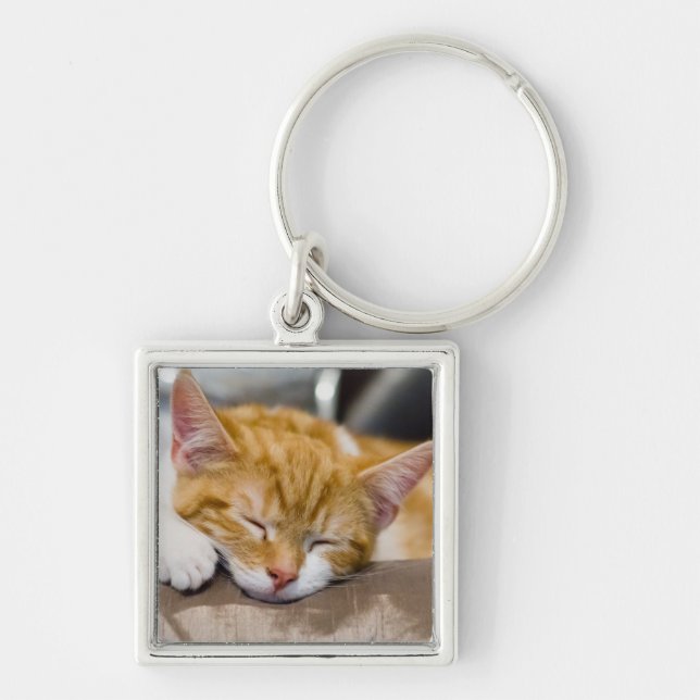 Cute Kitten Key Ring (Front)